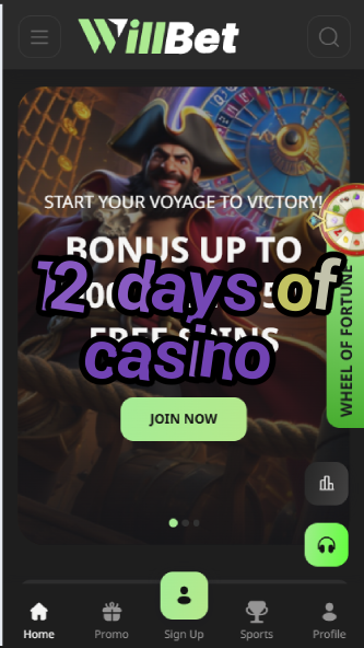 12 Days of Casino - Holiday Casino Promotions-casinogringos.casinoorder.vip